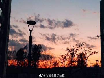 解“兩小無猜九正開”打一最佳生肖