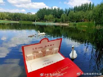 解“全力以赴”指什么生肖